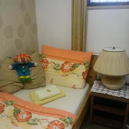 Hostel Pansion Lion *