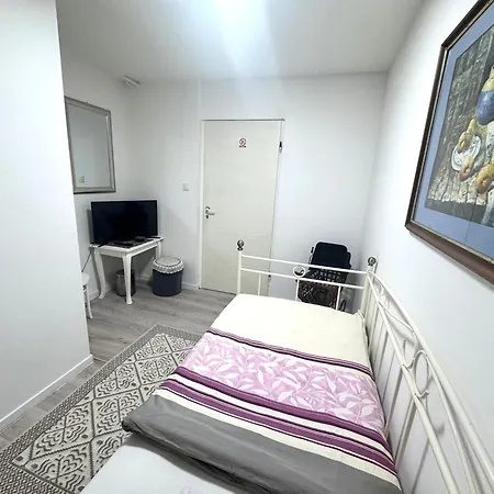 Hostel Pansion Lion