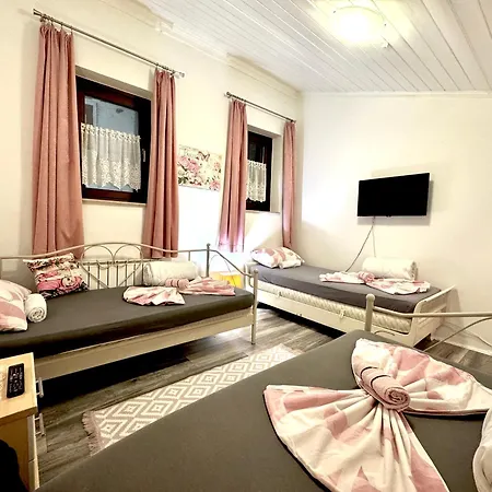 Pansion Lion Hostel *