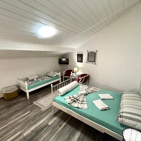 Hostel Pansion Lion *