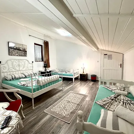 Pansion Lion Hostel *