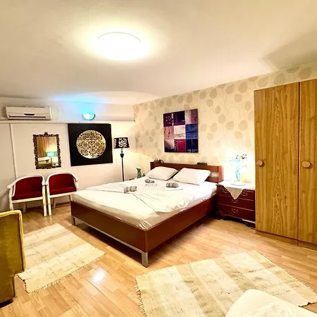 Pansion Lion Hostel *