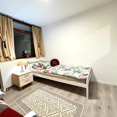 Hostel Pansion Lion *