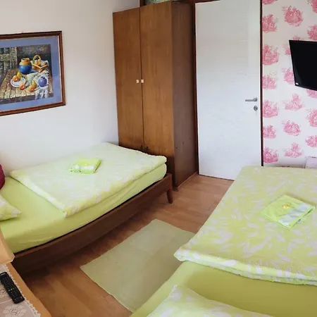Pansion Lion Hostel *
