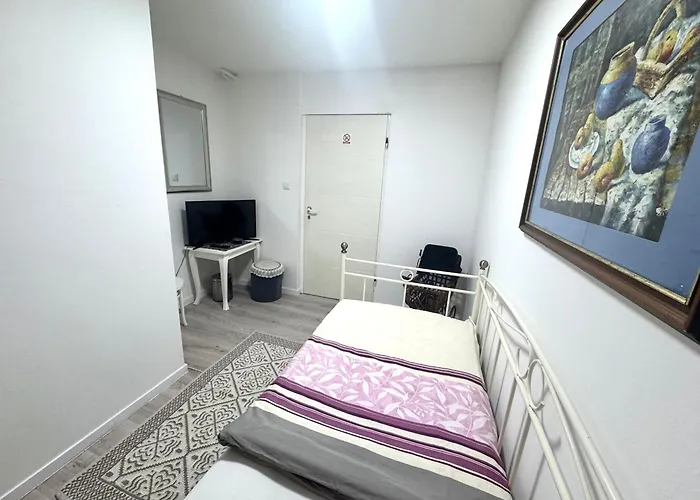 Vandrerhjem Pansion Lion